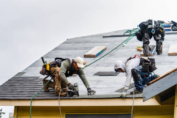 Professional Storm Damage Roof Repair technician working in Pine Lake, GA
